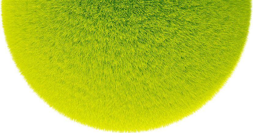 case image